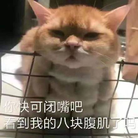 沙雕表情包,熊猫头搞笑表情包,熊猫头搞笑动态图