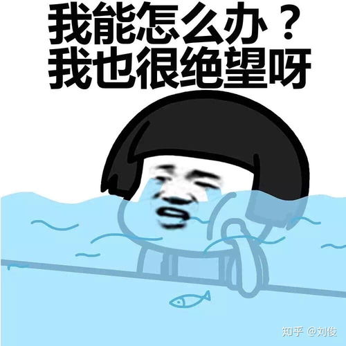 马料又蓝又便宜,难道湖北料不行了