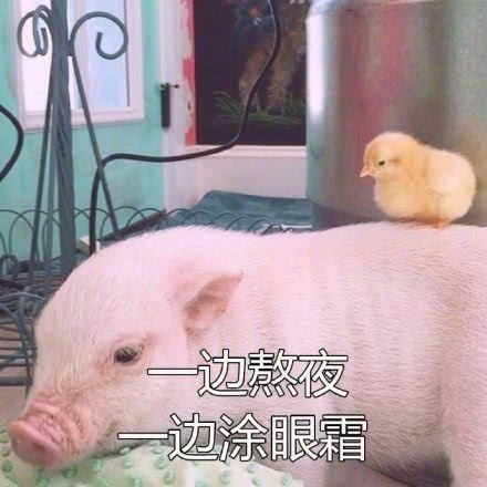 中年少女养生指南,天天嚷嚷着减肥却过着佛系生活