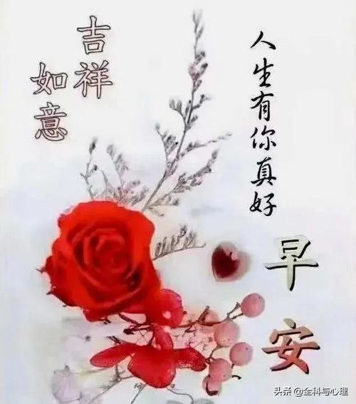 早上好表情包新版高雅祝福语