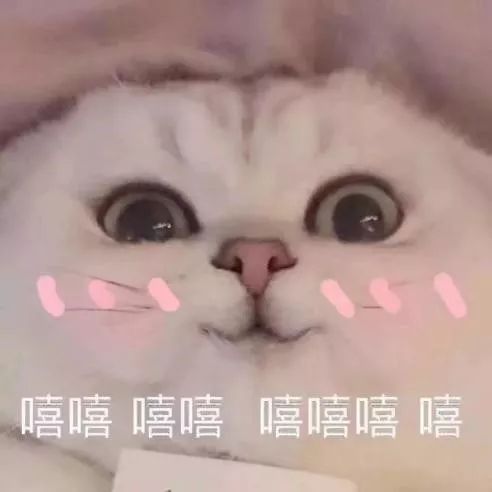 贴心小益心动闻到了放假的味道
