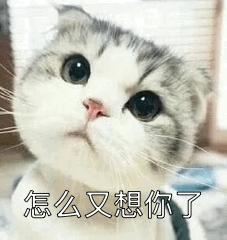 超甜的撒娇撩人表情包,情侣专用哦,赶快发给对象,甜到了吗