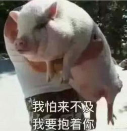 幽默的笑话妹子听我说完了那两个字后,马上就跟我去打结婚证了