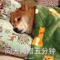 什么西安城区最低温要跌到15专家说...