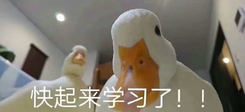 评职称需要发的论文,一定要看刊期