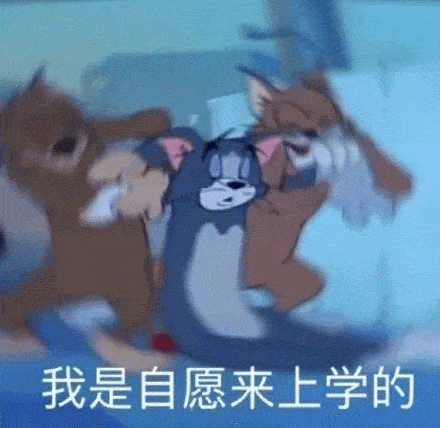 可爱猫和老鼠表情包再见了,没有人会喜欢我