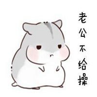 情侣表情包老公微信头像图片大全