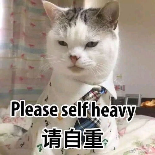 爹系男友到底应该是什么