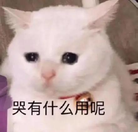 直接写歌diss,她是故意炒作还是真的爱过孩子爹