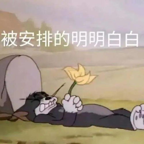 要使点什么坏好呢丨第163期喵表情