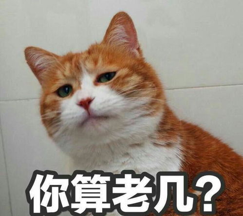 表情包心情紧张野鸡大学