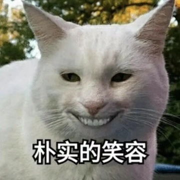 到了图片表情包