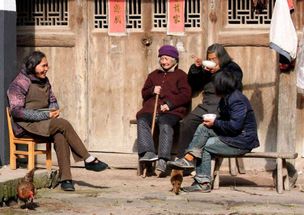 在农村里,为什么老人常说越老实的人越不好惹