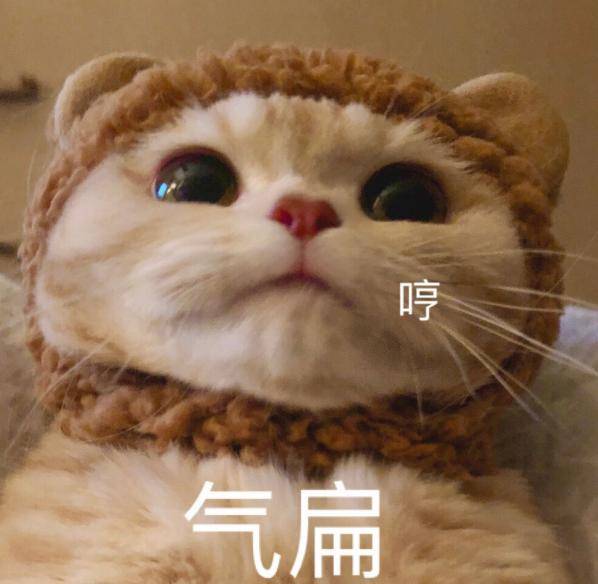 网络真人表情包侮辱性