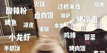 柳州女子被误锁家中外卖小哥翻墙爬防盗网送餐