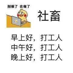 抖音热门表情精选