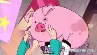安全暑期注意事项请查收