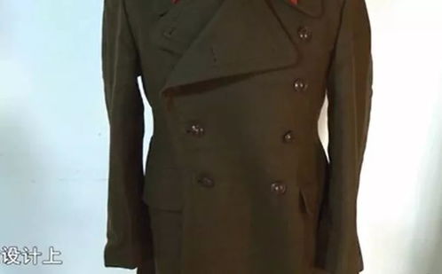今冬顶流网友不是羽绒服穿不起,而是军大衣更有性价比