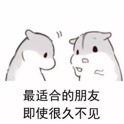 高情商回答对方不用客气不要太客气的句子