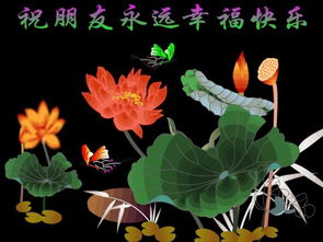 闫锐敏代表炎黄书画家协会祝愿大家中秋快乐