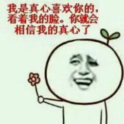 求qq斗图表情包