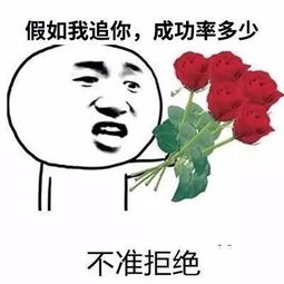 撩妹套路表情包假如我追你,成功率多少
