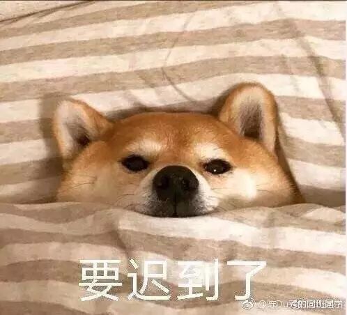床仙似神仙,但你可不能上天哟