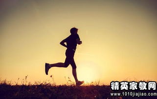唯美句子大集会