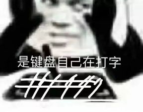 键盘侠表情包