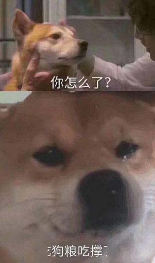 高能预警今天微信又调红包上限了网友回复亮了