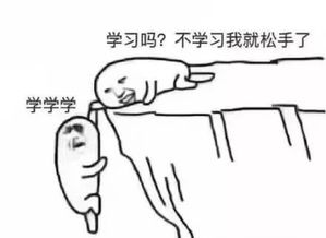 我把准考证头像传成了表情包,结果改不了了救命啊