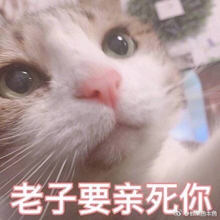 鹅们有没有偷偷瞒着双亲出境旅游过