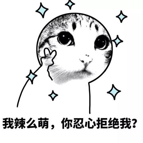 你莫说了表情包我去