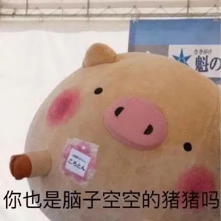 懒猪图片表情包熊泥泥