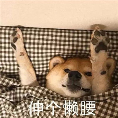 天冷不想起床的表情包过段时间就要遭受到被窝的绑架了