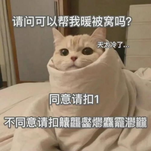 女孩子专用表情包快保存给男朋友看