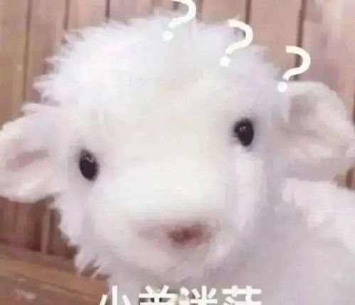 我有一个奇怪的生理反应呵呵哈哈哈