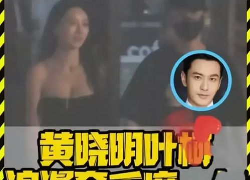 被质疑全身都假的叶柯霸气回应爱黄晓明的心是真的