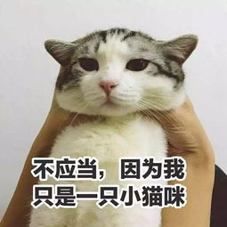 广州人要注意门禁卡30秒复制,陌生人随便进家门你们小区门禁安全吗