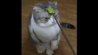 挠痒