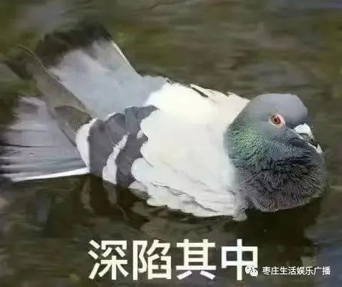 警惕谣言这些关于新型冠状病毒的说法是真的吗