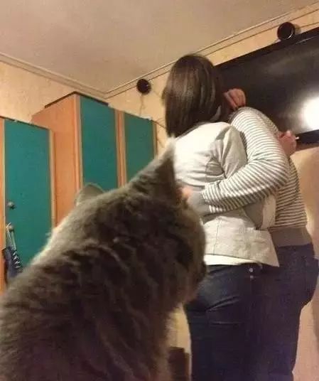 外国网友带女盆友回家,猫咪的表情怎么是这样的
