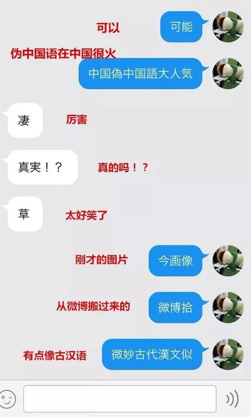 尬撩聊天记录表情包伪中国语