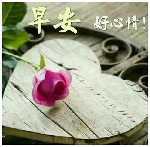 发朋友圈早安吉祥问候语表情图片,12句治愈系情感句子