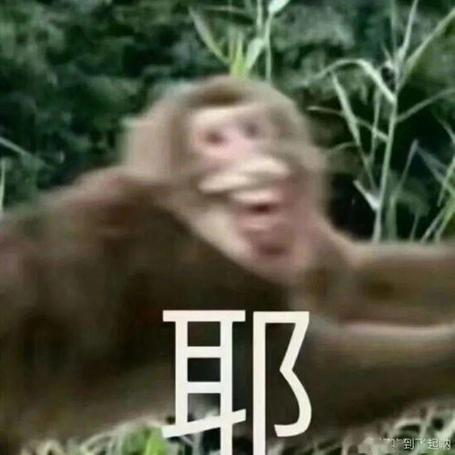 纳新篇你期待的宣讲会and面试现场来咯