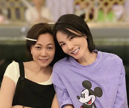 王菲为女儿设宴庆生,两人同框似姐妹,李嫣用妈妈表情包当手机壳