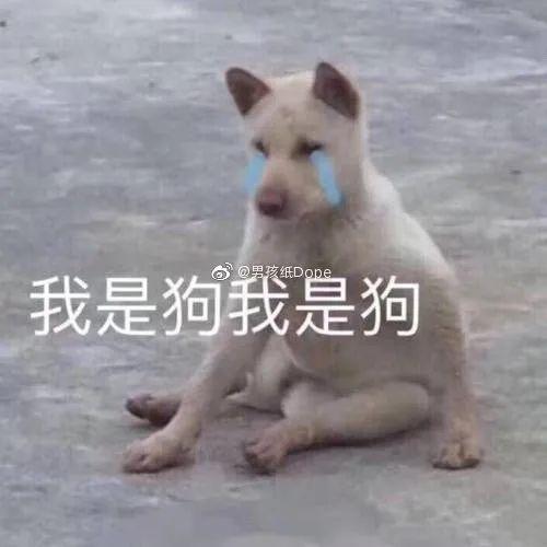 网友靠吹牛吹来一个男朋友这是啥神仙剧情我也会吹牛逼啊