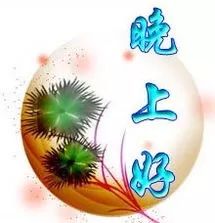漂亮的晚上好动态表情图片温馨晚上好问候语暖心图片