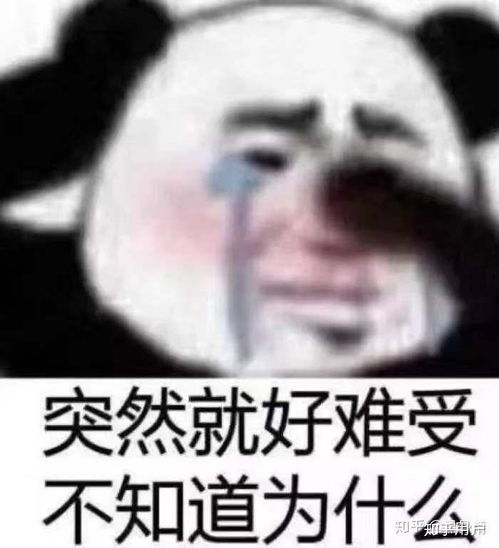 哈哈哈你有什么沙雕的只因对方在人群中多看了你几眼就自己将自己攻略的配合式喜欢的经历呢˙˙