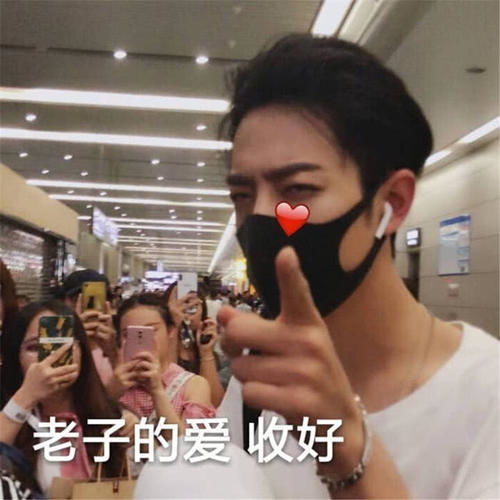 爆笑段子女神的生日快到了,他问女神想要什么礼物老虎